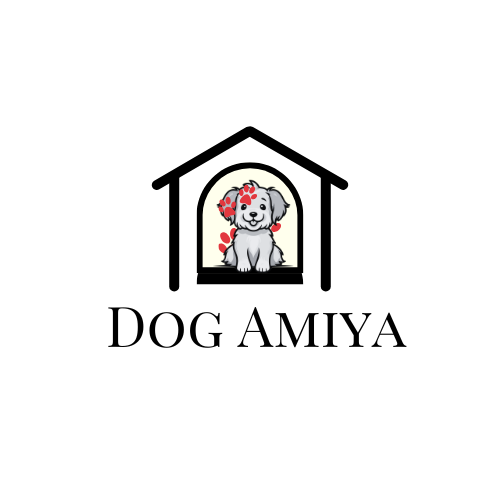 Dog Amiya (2)