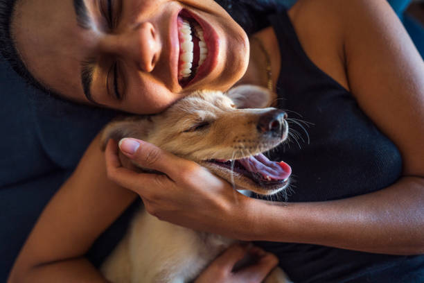 Dog Ear Infection: Symptoms